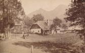 Bauernhof auf der Faakersee Insel - alte historische Fotos Ansichten Bilder Aufnahmen Ansichtskarten 