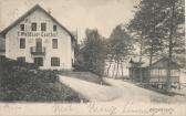 Gasthof Waldner - Treffen am Ossiacher See - alte historische Fotos Ansichten Bilder Aufnahmen Ansichtskarten 