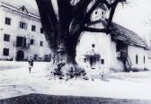 Unterloibl alte Linde - alte historische Fotos Ansichten Bilder Aufnahmen Ansichtskarten 