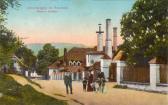 Unterbergen Brauerei Oblasser - alte historische Fotos Ansichten Bilder Aufnahmen Ansichtskarten 