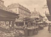 Wien, Am Hof - alte historische Fotos Ansichten Bilder Aufnahmen Ansichtskarten 
