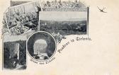 4 Bild Litho Karte Zirknitz - Slowenien - alte historische Fotos Ansichten Bilder Aufnahmen Ansichtskarten 