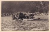 Techendorf, Heutransport am Weissensee - Spittal an der Drau - alte historische Fotos Ansichten Bilder Aufnahmen Ansichtskarten 