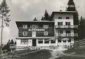 Hotel Alpenrose - Kanzelhöhe - alte historische Fotos Ansichten Bilder Aufnahmen Ansichtskarten 