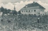 Gärtnerei Jacob Eicher - Villach - Kärnten - alte historische Fotos Ansichten Bilder Aufnahmen Ansichtskarten 