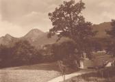 Faakersee Insel, Blick zum Landungssteg,  - Villach Land - alte historische Fotos Ansichten Bilder Aufnahmen Ansichtskarten 