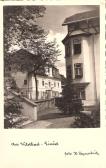 Wildbad Einöd bei Neumarkt in Steiermark - Wildbad Einöd - alte historische Fotos Ansichten Bilder Aufnahmen Ansichtskarten 