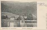 Nindlers Badeanstalt - Treffen am Ossiacher See - alte historische Fotos Ansichten Bilder Aufnahmen Ansichtskarten 