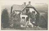Villa Haar - Steindorf am Ossiacher See - alte historische Fotos Ansichten Bilder Aufnahmen Ansichtskarten 
