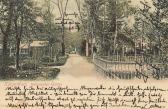 Klagenfurt Botanischer Garten - alte historische Fotos Ansichten Bilder Aufnahmen Ansichtskarten 