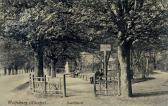 Wolfsberg Stadtpark - Kärnten - alte historische Fotos Ansichten Bilder Aufnahmen Ansichtskarten 