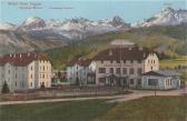 Wocheiner Feistritz, Grand Hotel Triglav - alte historische Fotos Ansichten Bilder Aufnahmen Ansichtskarten 