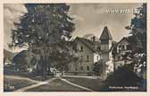 Inselhotel Faakersee - Kärnten - alte historische Fotos Ansichten Bilder Aufnahmen Ansichtskarten 