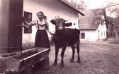 Faak am See, Bauernhof der Kunstmühle - Villach Land - alte historische Fotos Ansichten Bilder Aufnahmen Ansichtskarten 