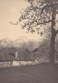 Drobollach, Treiber-Hube - Drobollach am Faaker See - alte historische Fotos Ansichten Bilder Aufnahmen Ansichtskarten 