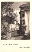 Wildbad Einöd bei Neumarkt in Steiermark - alte historische Fotos Ansichten Bilder Aufnahmen Ansichtskarten 