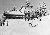 Alpenrose im Winter - alte historische Fotos Ansichten Bilder Aufnahmen Ansichtskarten 