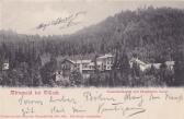 Mittewald Wasserheilanstalt, klimatischer Kurort - Kärnten - alte historische Fotos Ansichten Bilder Aufnahmen Ansichtskarten 
