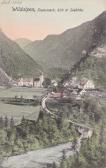 Wildalpen Ortsansicht - Steiermark - alte historische Fotos Ansichten Bilder Aufnahmen Ansichtskarten 