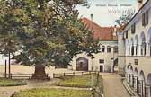 Millstatt - Stiftshof - Kärnten - alte historische Fotos Ansichten Bilder Aufnahmen Ansichtskarten 