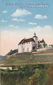 Schloss Thürn - Oesterreich - alte historische Fotos Ansichten Bilder Aufnahmen Ansichtskarten 