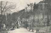 Leonstein und Bahnübergang - Oesterreich - alte historische Fotos Ansichten Bilder Aufnahmen Ansichtskarten 