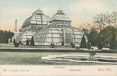 Palmenhaus - Europa - alte historische Fotos Ansichten Bilder Aufnahmen Ansichtskarten 