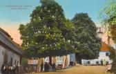 Unterbergen Gasthaus Schönlieb - Kärnten - alte historische Fotos Ansichten Bilder Aufnahmen Ansichtskarten 