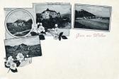 4 Bild Litho Karte - Wöllan - Europa - alte historische Fotos Ansichten Bilder Aufnahmen Ansichtskarten 