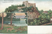 Ruine Finkenstein - alte historische Fotos Ansichten Bilder Aufnahmen Ansichtskarten 