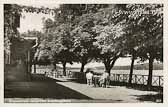 Klopeiner See - Gastgarten Erholungsheim - Kärnten - alte historische Fotos Ansichten Bilder Aufnahmen Ansichtskarten 