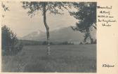 Warmbad - Napoleonwiese - Oesterreich - alte historische Fotos Ansichten Bilder Aufnahmen Ansichtskarten 