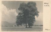 Villach - Auen - Oesterreich - alte historische Fotos Ansichten Bilder Aufnahmen Ansichtskarten 