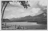 Drobollach am Faaker See - Villach - alte historische Fotos Ansichten Bilder Aufnahmen Ansichtskarten 