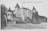 Schloß Maissau - Niederösterreich - alte historische Fotos Ansichten Bilder Aufnahmen Ansichtskarten 