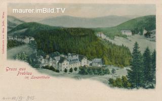 Preblau im Lavantal - Wolfsberg - alte historische Fotos Ansichten Bilder Aufnahmen Ansichtskarten 