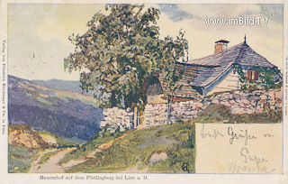 Bauernhof auf dem Pöstlingberg - Oberösterreich - alte historische Fotos Ansichten Bilder Aufnahmen Ansichtskarten 