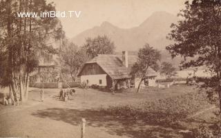 Bauernhof auf der Faakersee Insel - Faak am See - alte historische Fotos Ansichten Bilder Aufnahmen Ansichtskarten 