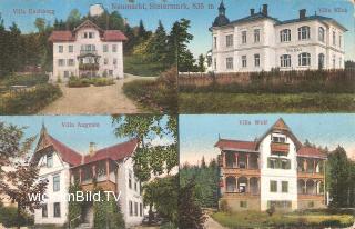 Neumarkt in Steiermark - Villen - Murau - alte historische Fotos Ansichten Bilder Aufnahmen Ansichtskarten 
