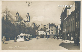 Linz - Promenade - Oberösterreich - alte historische Fotos Ansichten Bilder Aufnahmen Ansichtskarten 