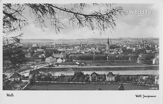 Wels - Oberösterreich - alte historische Fotos Ansichten Bilder Aufnahmen Ansichtskarten 