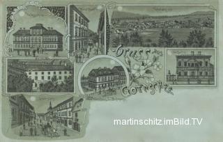 7 Bild Litho Karte - Gotschee - Mondscheinkarte - Slowenien - alte historische Fotos Ansichten Bilder Aufnahmen Ansichtskarten 