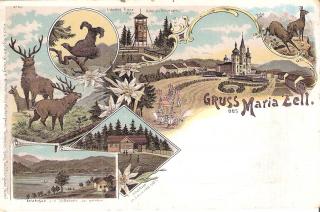 Gruss aus Mariazell - Bruck an der Mur - alte historische Fotos Ansichten Bilder Aufnahmen Ansichtskarten 