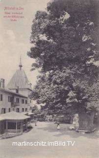 Millstatt, Hotel Lindenhof mit 500 jähriger Linde - Spittal an der Drau - alte historische Fotos Ansichten Bilder Aufnahmen Ansichtskarten 