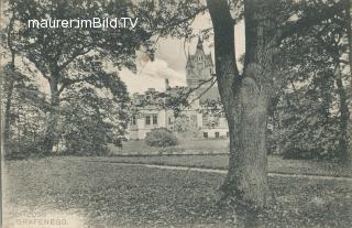 Schloss Grafenegg - Krems(Land) - alte historische Fotos Ansichten Bilder Aufnahmen Ansichtskarten 