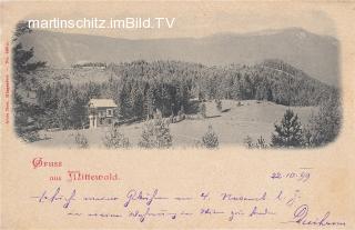 Mittewald ob Villach - Mittewald ob Villach - alte historische Fotos Ansichten Bilder Aufnahmen Ansichtskarten 