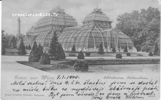 Schönbrunn, Palmenhaus - Wien - alte historische Fotos Ansichten Bilder Aufnahmen Ansichtskarten 