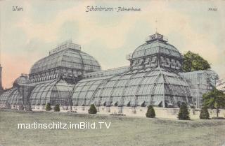 Wien Palmenhaus - Wien 13.,Hietzing - alte historische Fotos Ansichten Bilder Aufnahmen Ansichtskarten 