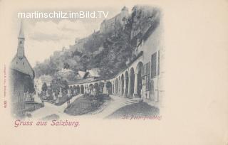 Salzburg St. Peter-Fridhof  - Salzburg(Stadt) - alte historische Fotos Ansichten Bilder Aufnahmen Ansichtskarten 