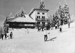 Alpenrose im Winter - Treffen am Ossiacher See - alte historische Fotos Ansichten Bilder Aufnahmen Ansichtskarten 